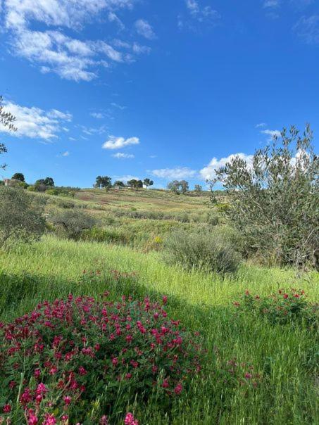 Casa Country Βίλα Αγκριτζέντο Εξωτερικό φωτογραφία